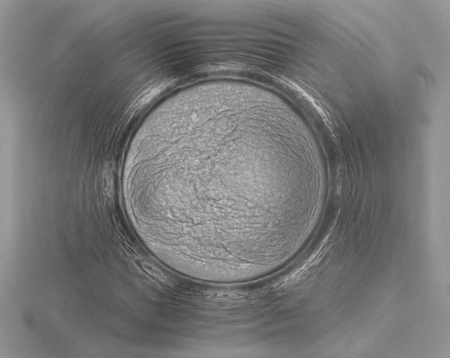 X0000115800921200912111206