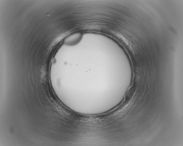 X0000115800922200912111206