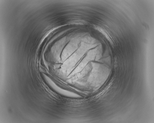 X0000115800923200912111206