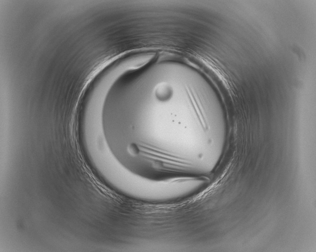 X0000115800925200912111206