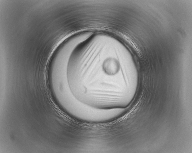 X0000115800926200912111206