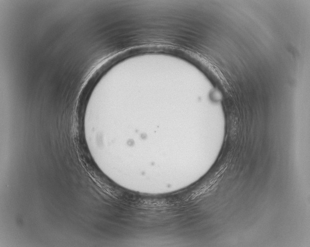 X0000115800927200912111206