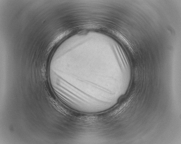 X0000115800930200912111206