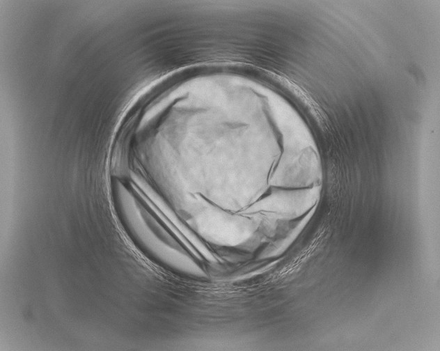 X0000115800935200912111206