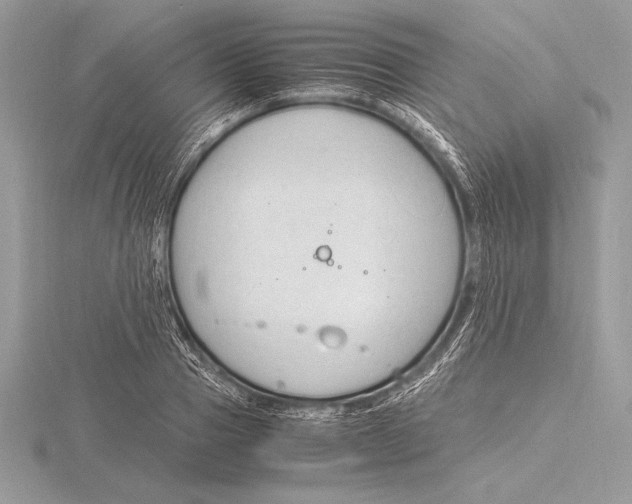 X0000115800937200912111206