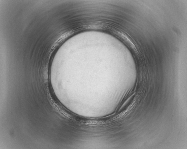 X0000115800938200912111207