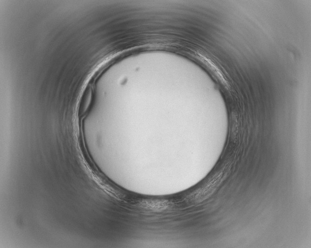 X0000115800939200912111207