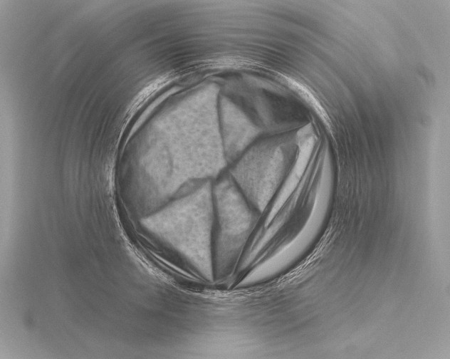 X0000115800946200912111207