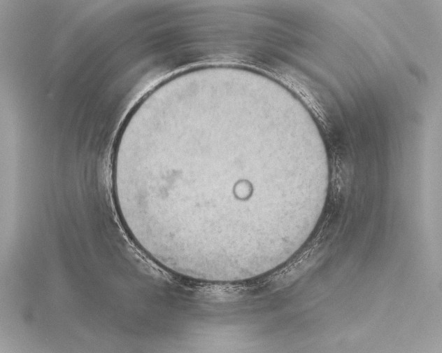 X0000115800950200912111207