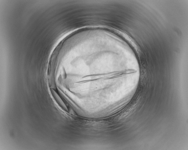 X0000115800951200912111207