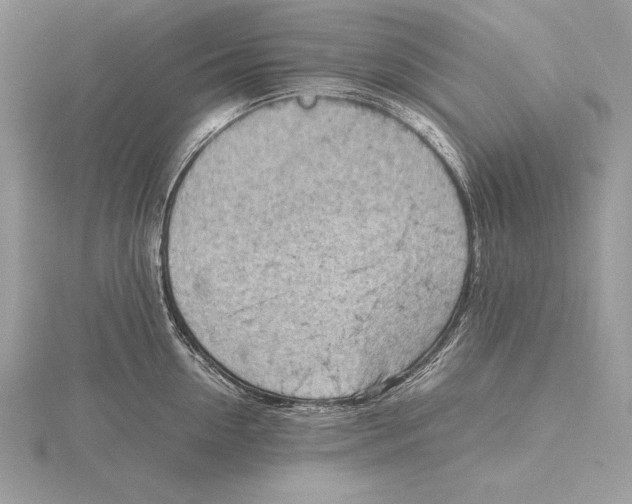 X0000115800954200912111207