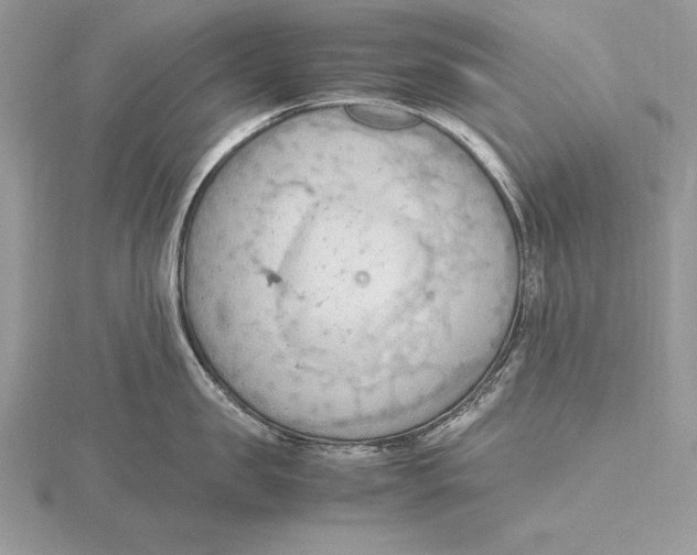 X0000115800957200912111207