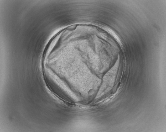 X0000115800958200912111207