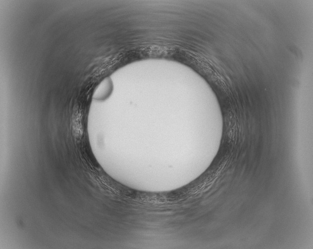 X0000115800962200912111206