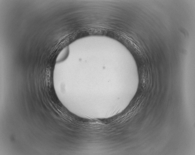 X0000115800964200912111206