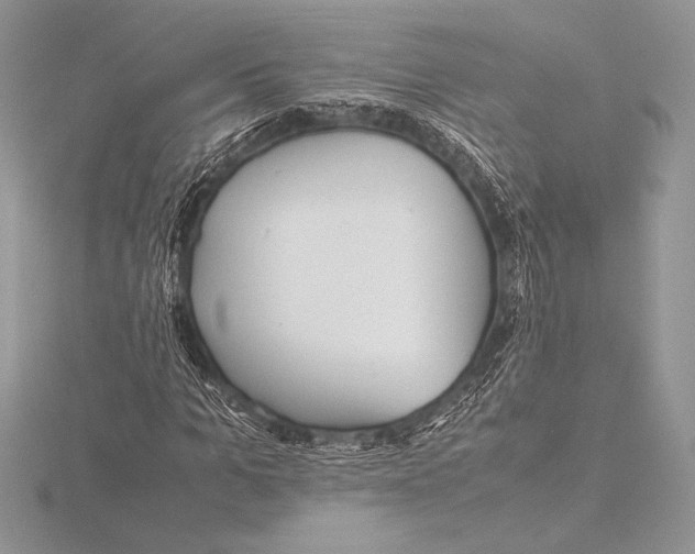 X0000115800965200912111206