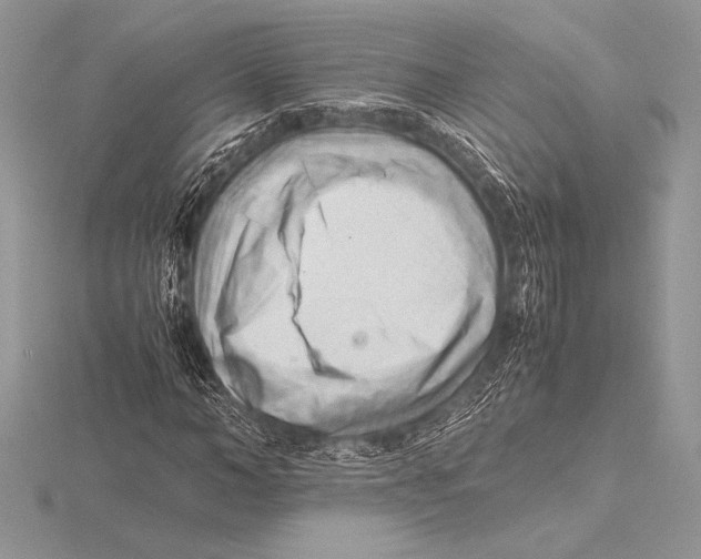 X0000115800966200912111206