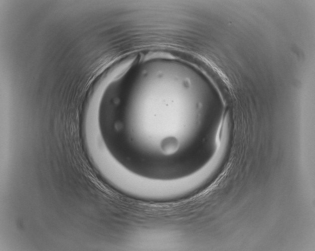 X0000115800969200912111206