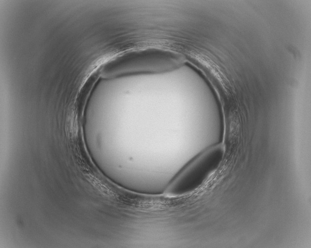 X0000115800973200912111206