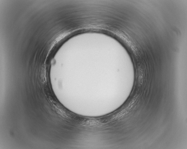 X0000115800974200912111206