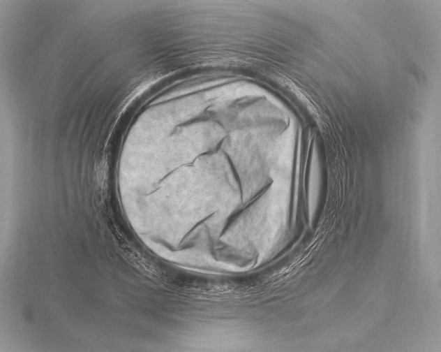 X0000115800975200912111206