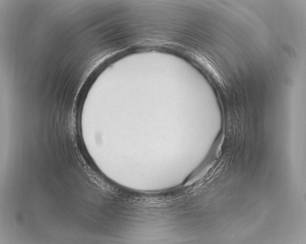 X0000115800976200912111206