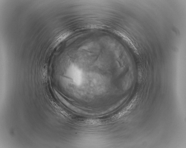 X0000115800977200912111206