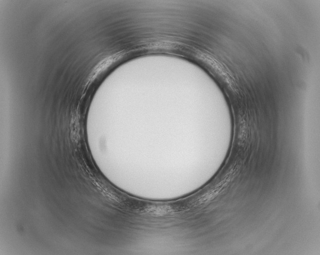 X0000115800978200912111206