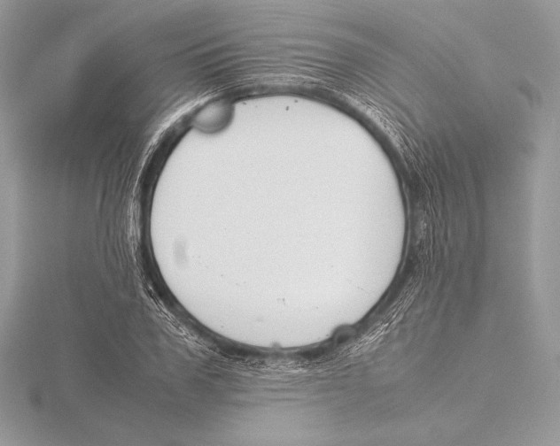 X0000115800979200912111206