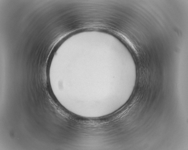 X0000115800980200912111206