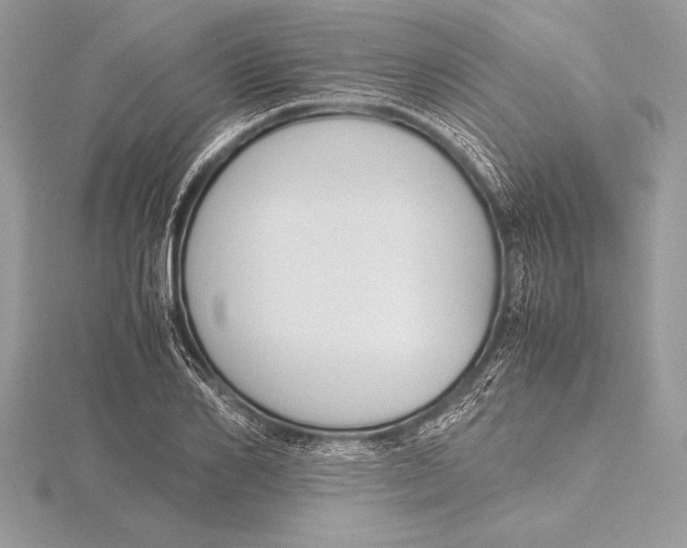 X0000115800982200912111206