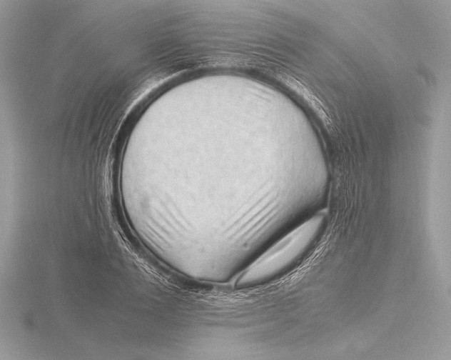 X0000115800983200912111206