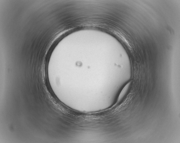 X0000115800984200912111206