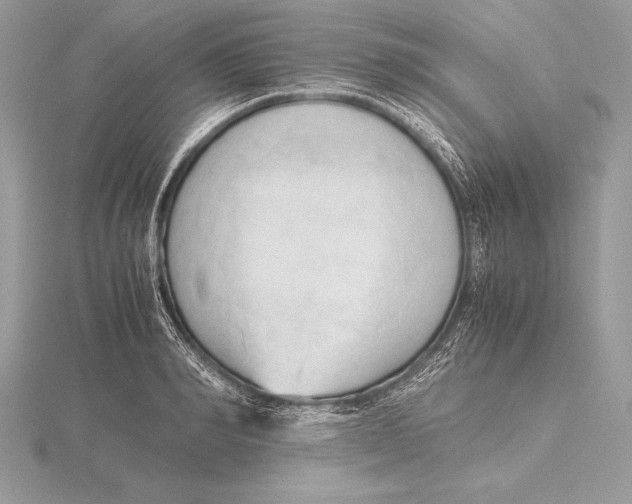 X0000115800990200912111206