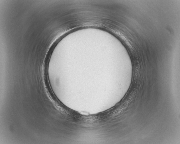 X0000115800991200912111206