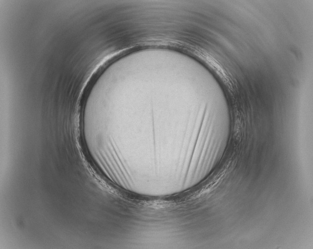 X0000115800992200912111206