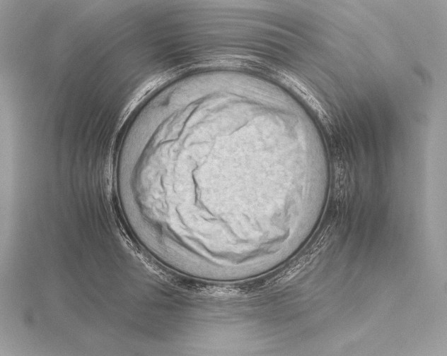 X0000115800994200912111206