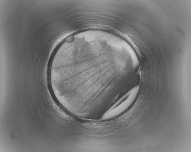 X0000115800995200912111206