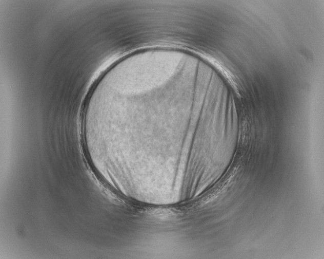 X0000115800998200912111206