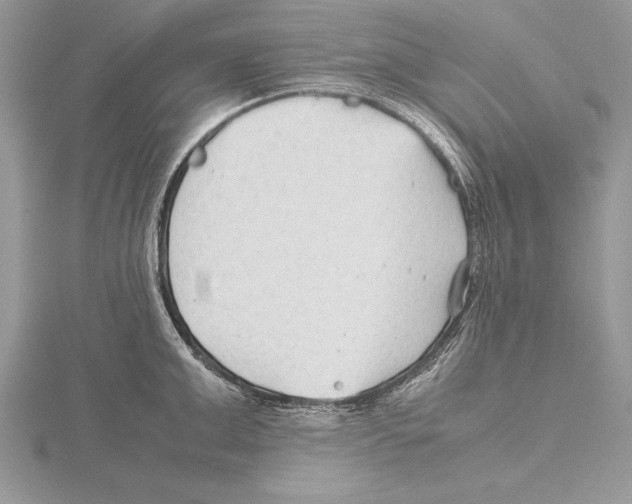 X0000115800999200912111206