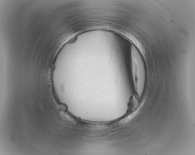 X0000115801001200912111206