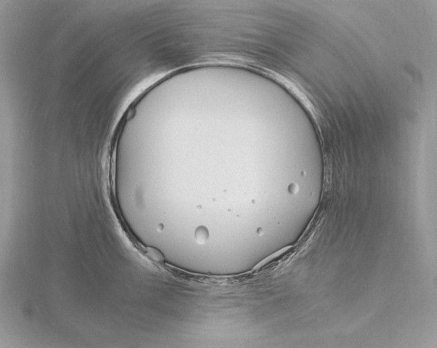 X0000115801003200912111206