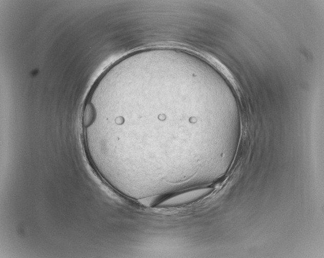 X0000115801005200912111206