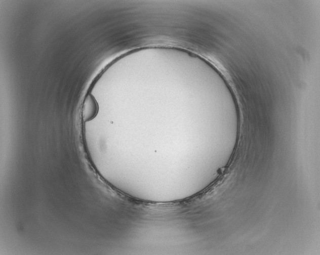 X0000115801008200912111206