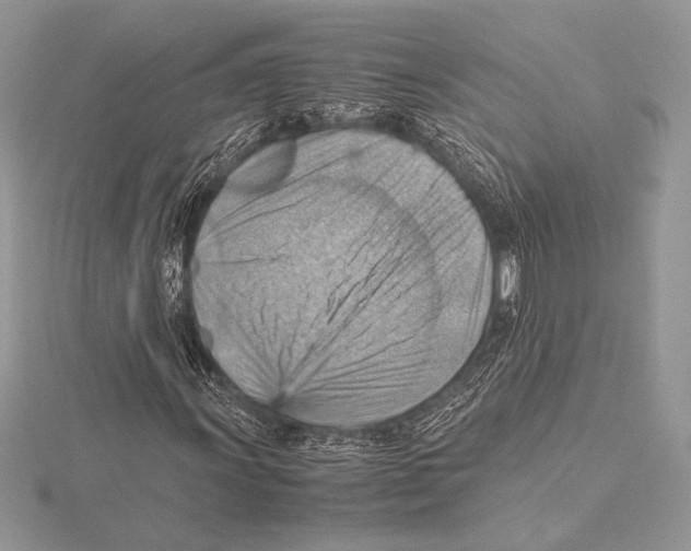 X0000115801011200912111205