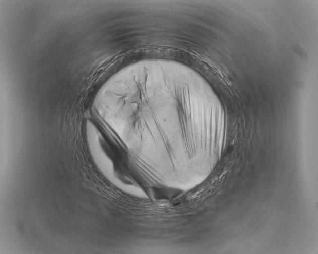 X0000115801013200912111205