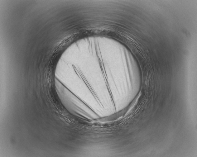 X0000115801014200912111205