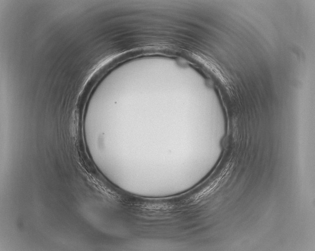 X0000115801021200912111205