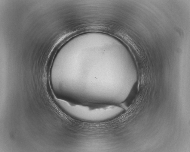 X0000115801024200912111205