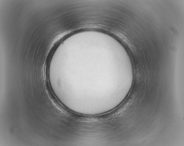 X0000115801030200912111205